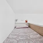 Travieso Palmas * Las Palmas de Gran Canaria